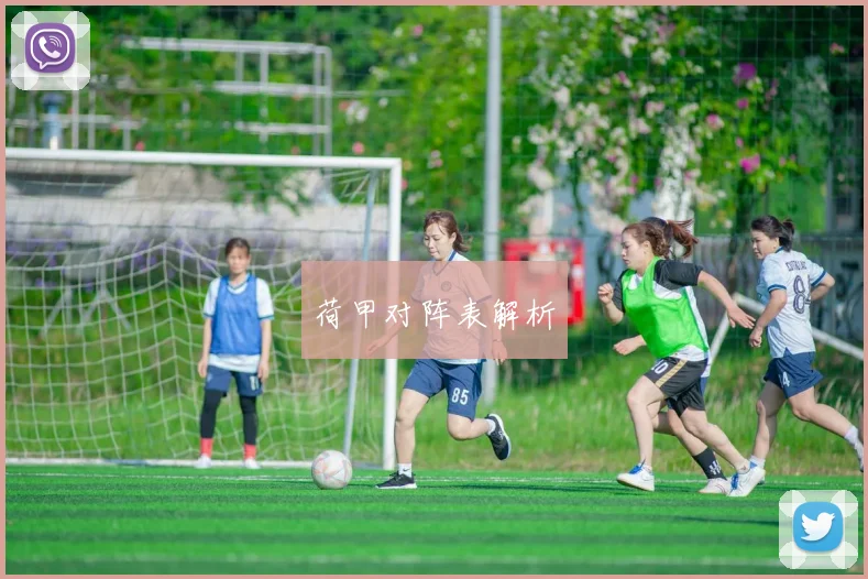 荷甲对阵表解析